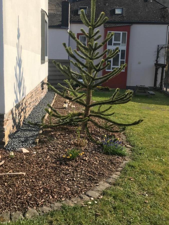 Ferienwohnung Sonnen - Terrasse برنكاستيل كويس المظهر الخارجي الصورة