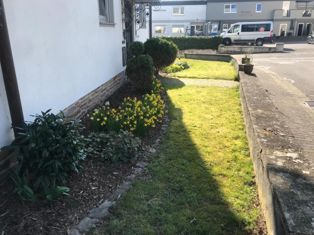 Ferienwohnung Sonnen - Terrasse برنكاستيل كويس المظهر الخارجي الصورة